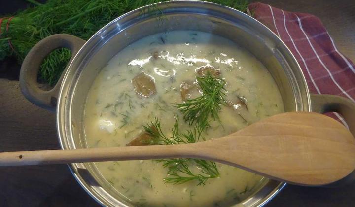 Jak uvařit polévku s podmáslím a houbami | jednoduchý recept