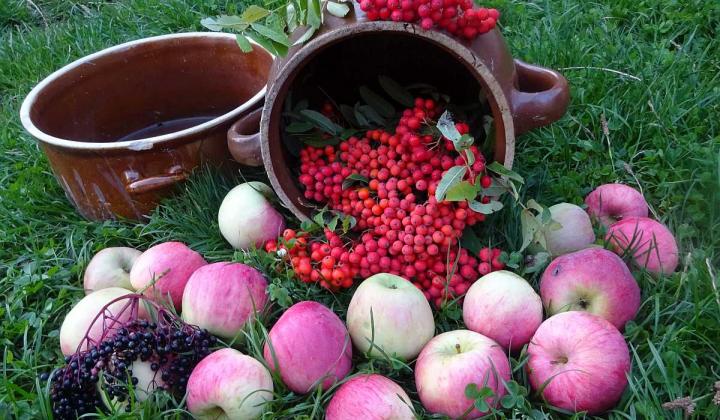 Jak uvařit staročeskou směs z jablek a jeřabin | recept