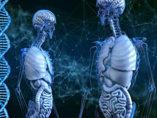 Jak fungují naše vnitřní hodiny a jak toho využít | rady a tipy Jak fungují naše vnitřní hodiny a jak toho využít | rady a tipy