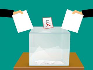 Jak na volby - komunální volby 2014 | rady